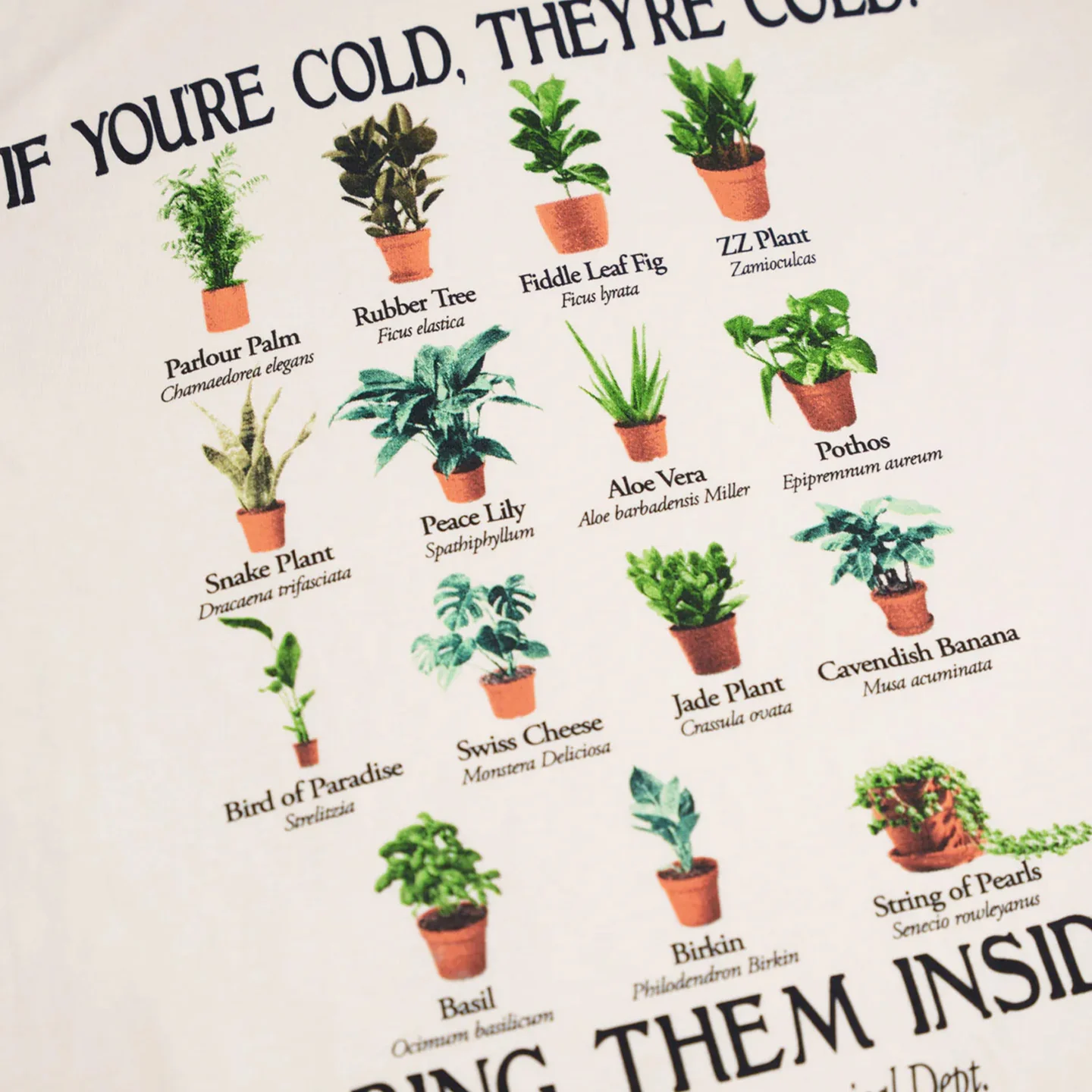 Bring Them Inside - Image 2