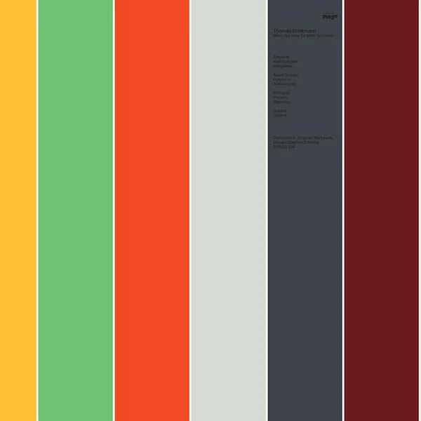 THOMAS BRINKMANN What You Hear (Is What You Hear)