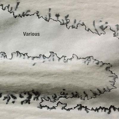 Va Various