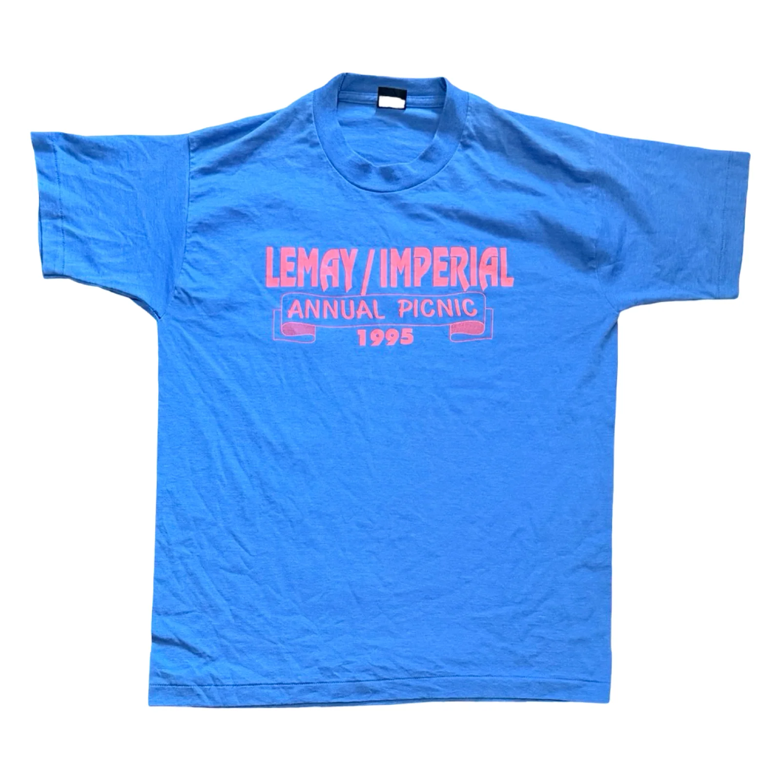 Vintage 1995 Annual Picnic Tee (L)