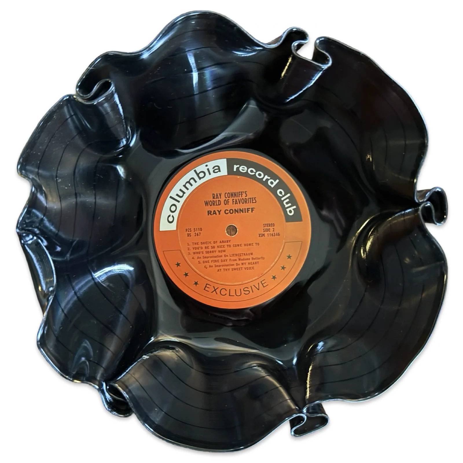 Vinyl Record Bowl - Image 14